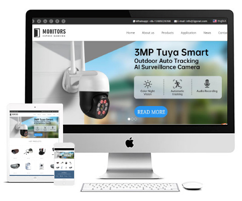 中英文网站多少钱