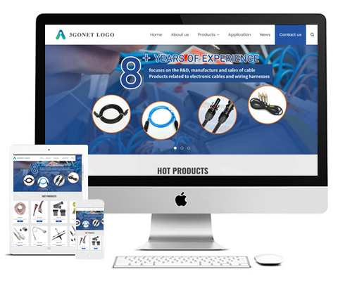 中英文网站多少钱